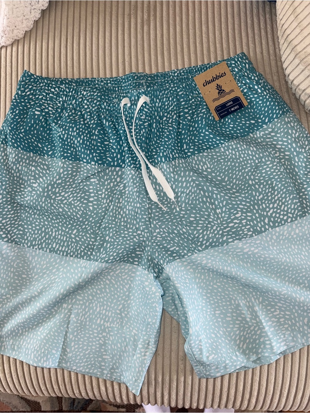 chubbies Teal & Light Blue Patterned Hybrid Shorts